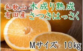 こだわりの和歌山有田産木成り熟成さつき八朔10kg(Mサイズ) ★2025年4月より順次発送    BZ050