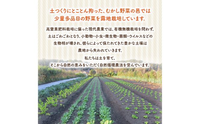 【F01005 】むかし野菜の邑 大分市産直 自然栽培の野菜セット