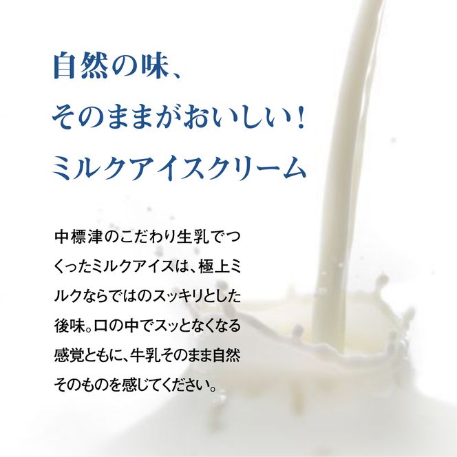 【無添加】 北海道 プレミアムミルクアイスクリーム×12個【11040】