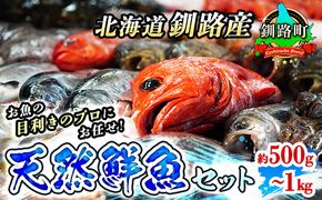 お魚の目利きのプロにお任せ！北海道産（国産） 天然 鮮魚 約500g～1kg（釧路の鮮魚セット） 年内配送 年内発送 北海道 釧路町 釧路超 特産品　121-1262-142-001