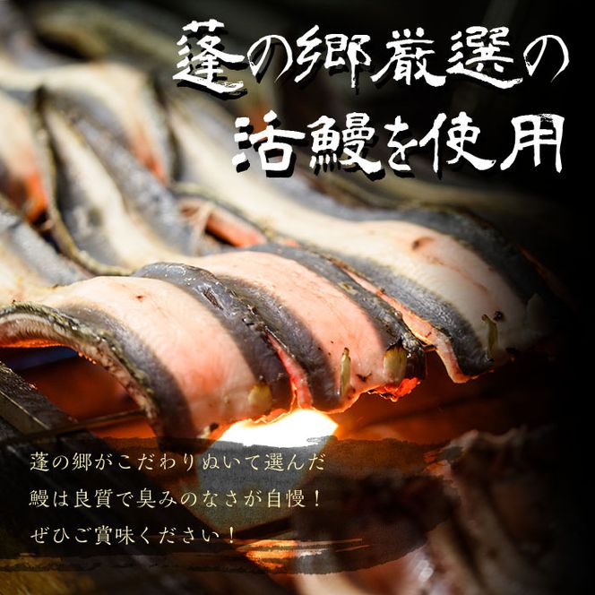 ギフト対応】名水百選 極上うなぎセット(130g以上×4尾) d0-026（鹿児島