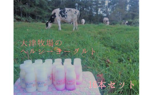 ykCȒzyÖq̍肽ă~NgpzkCY ̂ރ[Og wV[Zbg 16{ v[ r[c _CGbg Yn  [Og Ȓ ӂ邳Ɣ[