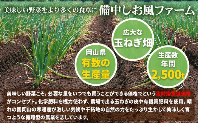 【2025年先行予約分】しお風たまねぎ 約10kg《2025年6月上旬-6月末頃出荷(土日祝除く)》 玉ねぎ たまねぎ 野菜 青果物 岡山県 笠岡市---223_786_6j6m_24_5000_10kg---