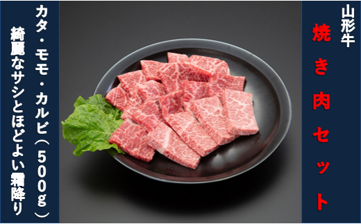 yR`ŏSM`zyR`zēZbgiEJ^EJrj500g