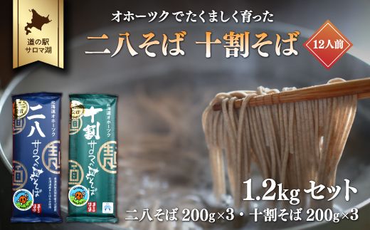 二八そば 十割そば 1.2kgセット（各200g×3） 12人前 佐呂間産 SRMI025