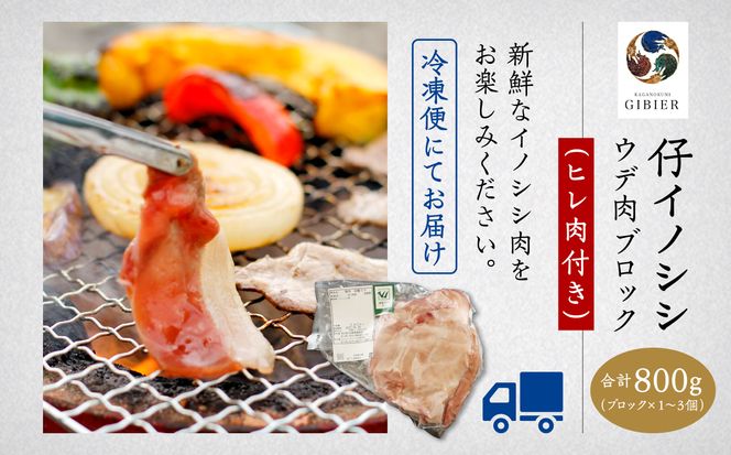仔イノシシ ウデ肉 ブロック(ヒレ肉付き）800g 010179