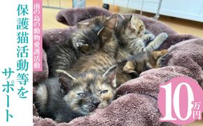 【南の島の動物愛護活動】保護猫活動等をサポート（10万円）- ねこ ネコ 地域猫 保護活動 支援 応援 さくらねこ 動物愛護 保護 里親 寄附のみ 沖縄県 八重瀬町