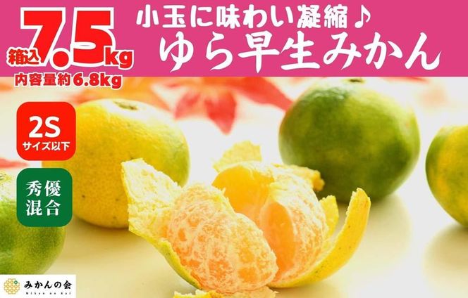 ya̎RLc쒬z瑁 ݂ ʂ 7.5kg (e 6.8kg) 2STCYȉ GD Lc݂ a̎RY ỷ݂z  AX310