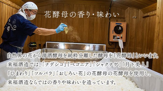 高級ワイン セレクション ワイン 赤ワイン ロゼワイン 飲み比べ セット [AM015ci]