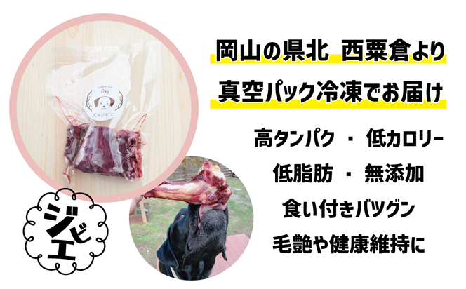 鹿の背骨 320g×3個セット ペットフード 犬 猫 森のジビエ for PET  A-JK-A06A