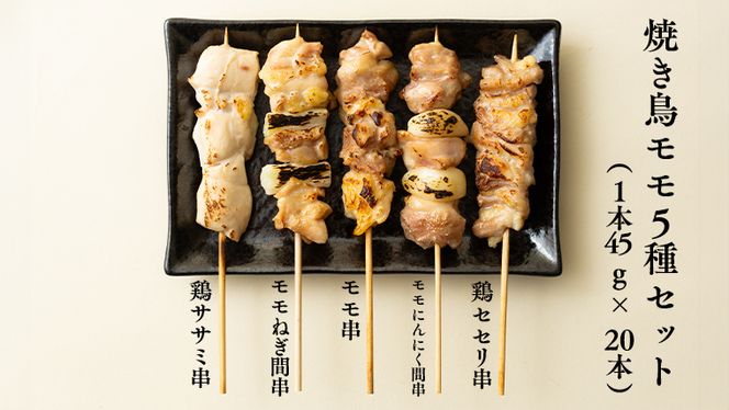 1本45g×100本！合計約4500g！ボリュームたっぷり、国産鶏 焼き鳥 5種100本 セット （各20本入り） 焼鳥 鶏肉 おかず おつまみ [AI12-NT]