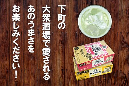 ＜TaKaRa焼酎ハイボール「レモン」「ドライ」350ml×24本×2種類＞翌月末迄に順次出荷【c085_mm_x3】
