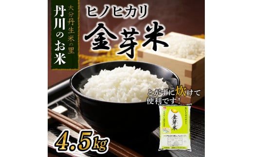 【B01018】大分丹生米の里ヒノヒカリ金芽米　4.5kg×1袋 