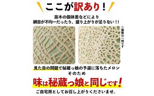 a0-169 【冬限定・数量限定】＜R6年11月下旬～12月末頃発送予定＞牧さんの訳ありメロン 赤玉(赤肉)1玉