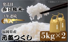 【先行予約】福岡県産【特A】評価のお米「元気つくし」5kg×2袋 [10kg] [白米]【2024年11月下旬以降順次発送】《築上町》【株式会社ベネフィス】[ABDF030]