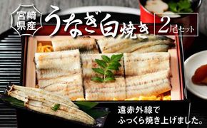 宮崎県産 うなぎ 白焼き 2尾セット K10_0006_3 