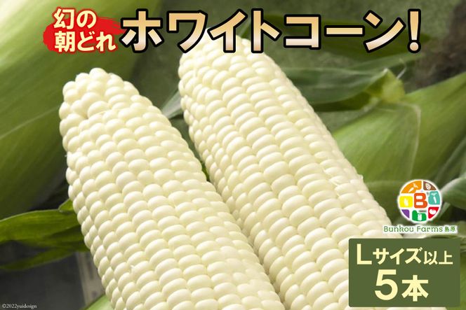 y茧szBF113 10{oׁIu̒ǂzCgR[IvLTCYȏ×5{ZbgySIɂHGoׁz