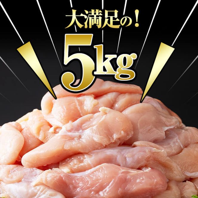 小分けで便利！鹿児島県産若鶏ささみ 計5kg(250g×20P) a5-258