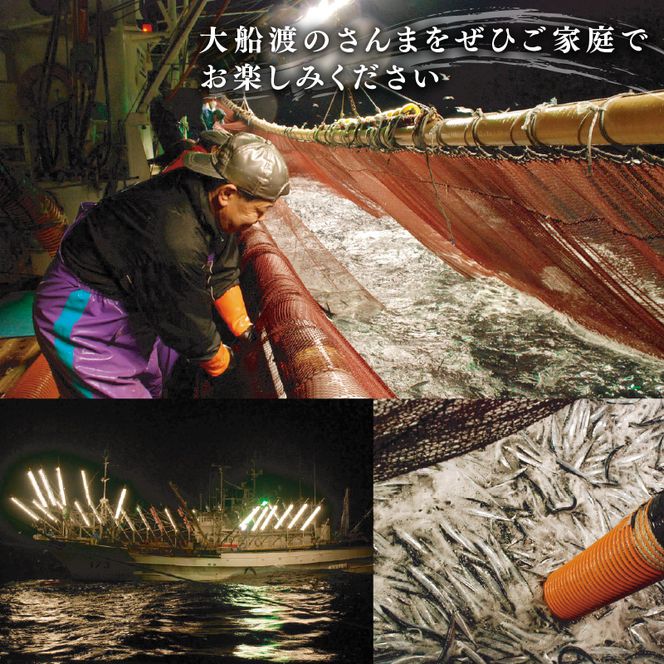 さんまスティック 500g 生食可 冷凍 さんま 三陸 大船渡 刺身 竜田揚げ さんまフライ 簡単調理 8000円 1万円以下 [kama021] 