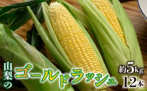 ＜2026年/令和8年発送先行予約＞ゴールドラッシュ 約5kg　12本入り SWAO003