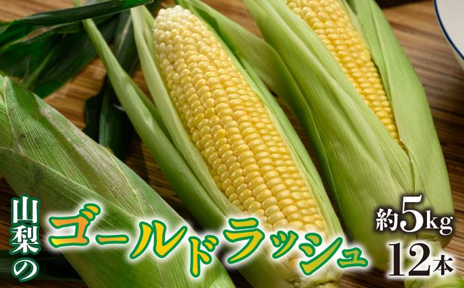 ＜2026年/令和8年発送先行予約＞ゴールドラッシュ 約5kg　12本入り SWAO003