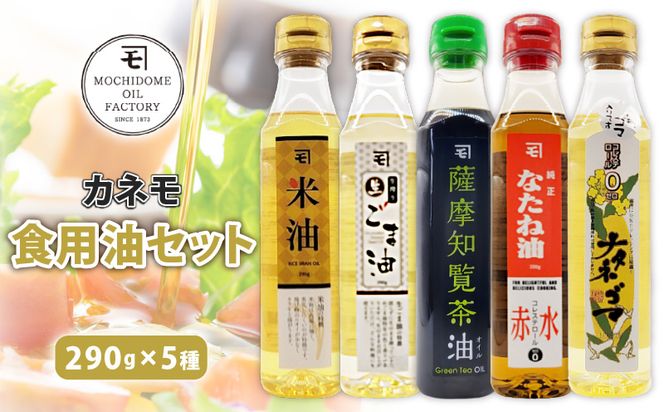 yszJlHpZbgi290g×5{Zbgj@K198-004