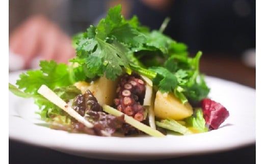 タイヨー酢だこ(100g×2袋)【0tsuchi00419】