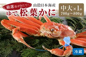 かに卸問屋がお届け・自社釜ゆで！山陰沖ゆで松葉がに 700ｇ～800ｇ 中大サイズ（12月発送）／北畿水産　HK00310