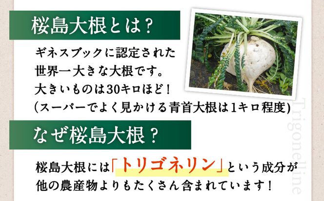 健康食品：桜島大根カプセル「ＴｒｉＧｏのトリゴネリン」　K196-001