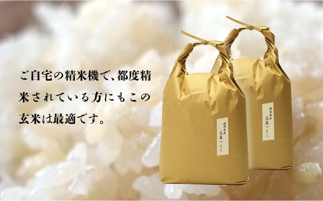 【先行予約】【全3回定期便】福岡県産【特A】評価のお米「元気つくし」5kg×2袋 [10kg] [玄米]【2024年11月下旬以降順次発送】《築上町》【株式会社ベネフィス】[ABDF118]