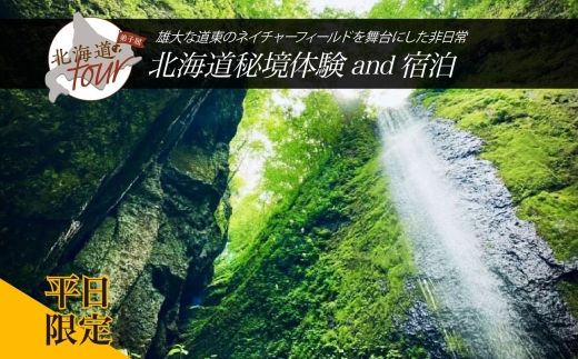 ykCqzykCcA[z274. kCAhx`[鋫̌ × hZbgvi90,000~jq h s s`Pbgy12×2zyI[V[Yzyvz
