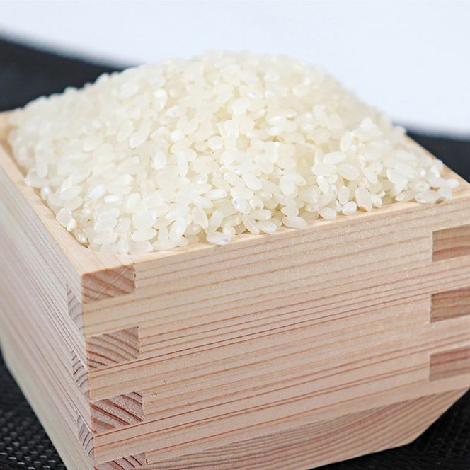 y򕌌䒬zAK-4b 򕌃ncV5kg