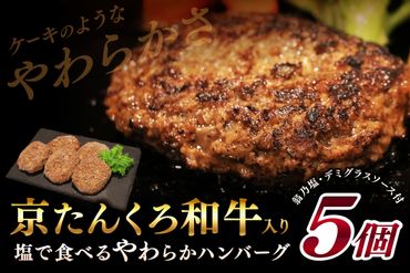 ケーキのようなやわらかさ★塩で食べるやわらかハンバーグ(デミグラスソース付) 100g ×5個 国産 はんばーぐ 牛肉 小分け 500g 肉 簡単調理 人気 子供