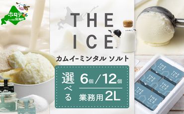 【THE ICE】 KAMUI-MINTAL SALT（カムイ・ミンタルソルト）ジェラート セット