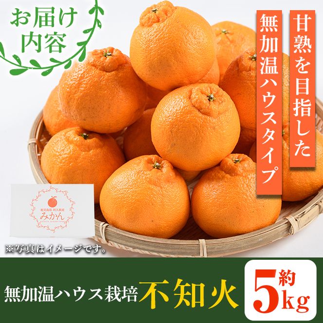 ＜先行予約受付中！2026年1月上旬以降順次発送予定＞数量限定！鹿児島県産無加温ハウス栽培 不知火(計約5kg：大将季) 柑橘 果物 くだもの フルーツ 旬 しらぬい シラヌイ ハウス栽培 無加温 数量限定 期間限定【三笠農業生産】akn051-12