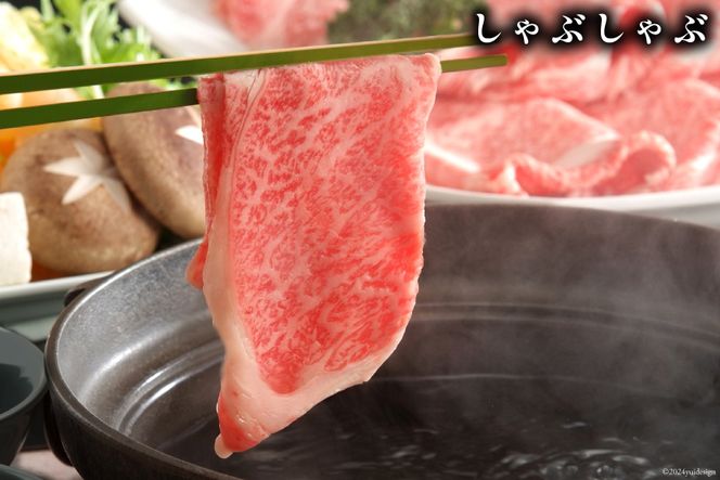 牛肉 【A4～A5】 博多和牛 サーロイン しゃぶしゃぶすき焼き用 300g×2p 計 600g [MEAT PLUS 福岡県 筑紫野市 21760755] 肉 和牛 牛 博多 A5 すき焼き サーロイン