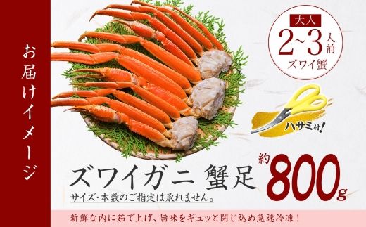 3375. ズワイガニ足 800g 約2-3人前 食べ方ガイド・専用ハサミ付 カニ かに 蟹 ずわい蟹 蟹肉 ボイル済み 送料無料 期間限定 数量限定 北海道 弟子屈町