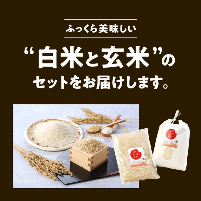 宮崎ヒノヒカリ延岡産白米と白い玄米セット 合計5.8kg N0149 宮崎ヒノヒカリ延岡産白米と白い玄米セット 合計5.8kg N0149