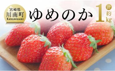 【 令和6年発送 】 宮崎県産 いちご 「 ゆめのか 」 270ｇ×4パック 【 先行予約 期間限定 果物 イチゴ 苺 フルーツ 】 [E3812]