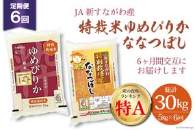 6回 定期便 JA新すながわ産 特栽米ゆめぴりか＆特栽米ななつぼし 5kg×6回 総計30kg [ホクレン商事 北海道 砂川市 12260660]