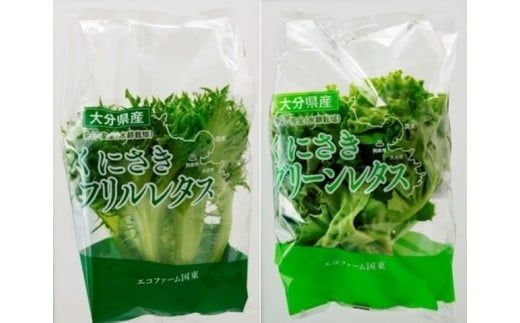 くにさき太陽のレタス4月から半年間定期便/計6回発送_1686R