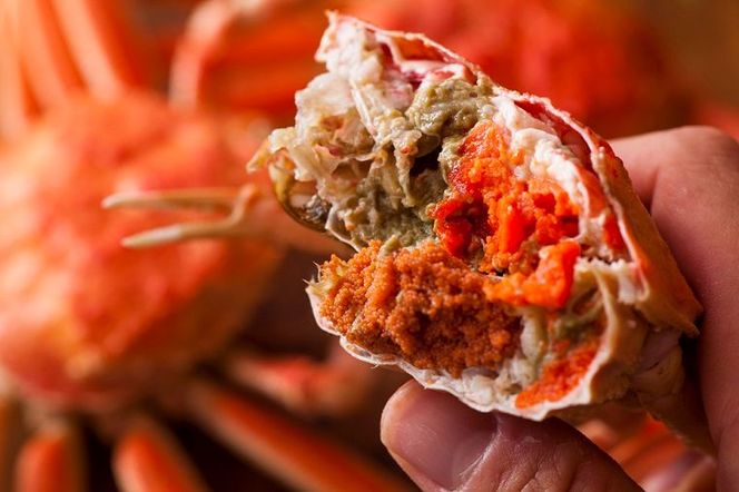 【蟹の匠 魚政】内子外子が美味! 茹でたて セイコガニ（セコ蟹）（香箱ガニ）（こっぺ）小サイズ 5匹セット カニ 蟹 セイコ蟹 セコガニ 香箱ガニ コッペガニ ボイル　UO01378