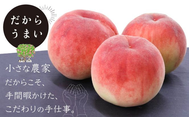 FF008【2024年 先行予約】日本一の産地 山梨県産　朝採れ桃 約1.5kg (５～８玉）