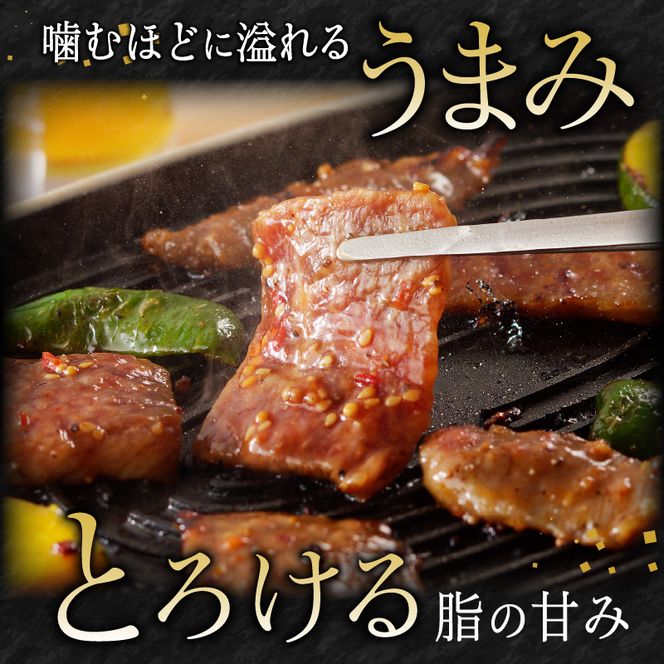 宮崎牛タレ漬け焼肉用　900g(450g×2)（A5等級）　N061-ZB302