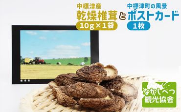 中標津産乾燥椎茸 １０ｇ×1袋　なかしべつ観光協会バージョン【3200701】