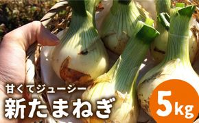【2026年3月〜発送】【甘くてジューシー 】新たまねぎ 先行予約 サラダ たまねぎ 5kg  玉ねぎ / 南島原市 / 長崎県農産品流通合同会社 [SCB025]