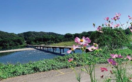 39210-046-0007．【高知・四万十川・サイクリング】　シティサイクルまたはマウンテンバイク　5時間　ペア利用券１枚