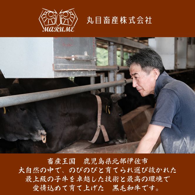 isa295 鹿児島県産黒毛和牛 伊佐黒王牛カタローススライス・すき焼き用！(計1kg・500g×2パック) 伊佐ブランド牛の極上の味をご堪能下さい！【プラン・ビー】