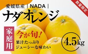 【先行予約】【農家直送】愛媛県産 ナダオレンジ 家庭用 4.5kg ｜ 柑橘 蜜柑 みかん ミカン 果物 フルーツ 河内晩柑 ※2025年5月中旬より順次発送予定