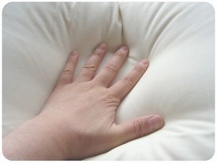 AM004【高め】洗えるダウンピロー（50cmX70cm 520g入り）